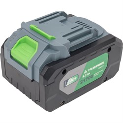 Аккумулятор TRUEGREEN TG8M173 - фото 17309665