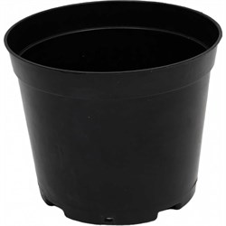 Контейнер VENEV 4670155130233 - фото 17313742