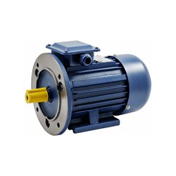 Электродвигатель ТМ БЭЗ АИР 100L4 IM2081 - фото 17322016