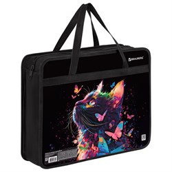 Папка на молнии с ручками BRAUBERG А4, 1 отделение, пластик, 80 мм, "Butterfly catcher", 272165 - фото 17340684