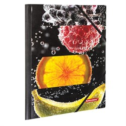 Папка на резинках BRAUBERG "FRESH ZONE", А4, цветная печать, до 300 листов, 500 мкм, 228036 - фото 17342809