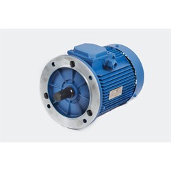 Электродвигатель МЭЗ АИР80В2 - фото 17358304
