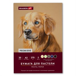 Бумага для пастели ФАКТУРНАЯ А3 в папке, 20 листов 5 цветов, 270 г/м2, BRAUBERG ART,, 117756 - фото 17370138
