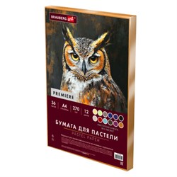 Бумага для пастели ФАКТУРНАЯ А4 в коробке, 36 листов 12 цветов, 270 г/м2, BRAUBERG AR, 117759 - фото 17370141