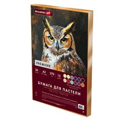 Бумага для пастели ФАКТУРНАЯ А3 в коробке, 36 листов 12 цветов, 270 г/м2, BRAUBERG AR, 117760 - фото 17370142
