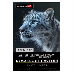 Бумага для пастели АБРАЗИВНАЯ А4 в папке, 15 листов, ЧЕРНАЯ, 240 г/м2, BRAUBERG ART, 117765 - фото 17373533