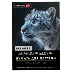Бумага для пастели АБРАЗИВНАЯ А3 в папке, 15 листов, ЧЕРНАЯ, 240 г/м2, BRAUBERG ART, 117766 - фото 17373534
