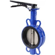 Дисковый поворотный затвор DN.ru Ду125 Ру16