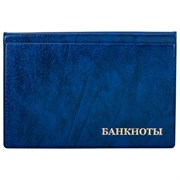 Альбом нумизмата для 24 бон (купюр), 125х185 мм, ПВХ, синий, STAFF, 238079