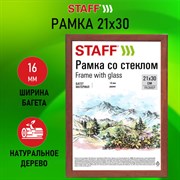 Рамка 21х30 см со стеклом, багет 16 мм, дерево, STAFF "Sonata", цвет орех, 391359