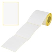 Этикетки термотрансферные, ПОЛУГЛЯНЕЦ, 100х150 мм, 250 этикеток в ролике, 111976