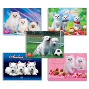 Альбом для рисования, А4, 40 листов, спираль, обложка картон, HATBER, 205х300 мм, "Любимцы" (5 видов), 004142, 40А4Всп