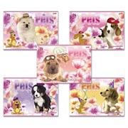 Альбом для рисования, А4, 24 листа, скоба, обложка картон, HATBER, 205х290 мм, "Любимцы", 004051, 24А4В