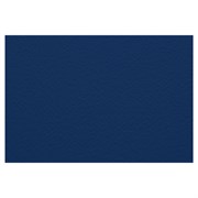 Бумага для пастели (1 лист) FABRIANO Tiziano А2+ (500х650 мм), 160 г/м2, темно-синий, 52551042