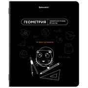 Тетрадь предметная МЕМЫ 48 л., TWIN-лак, ГЕОМЕТРИЯ, клетка, подсказки, BRAUBERG, 405101