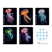 Тетрадь А5 48 л. АЛЬТ скоба, клетка, TWIN-лак, "Медузы фэнтези" (5 видов), 7-48-1331
