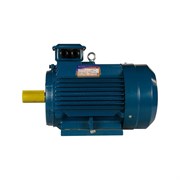 Электродвигатель 5АИ 132 М2 11/3000 IM 1081