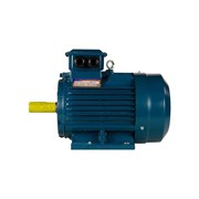 Электродвигатель 5АИ 112 МВ6 4/1000 IM 1081