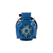 Электродвигатель 5АИ 100 S2Ж 4/3000 IM 2081