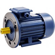 Электродвигатель ТМ БЭЗ АИP 100L6 IM2081
