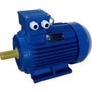 Электродвигатель ЭМШ АИР100L2У1