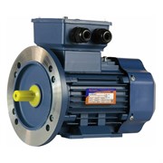Электродвигатель 5АИ 63 В2 0.55/3000 IM 2081