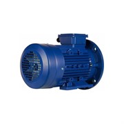 Электродвигатель 5АИ 100 L2 5.5/3000 IM 2081