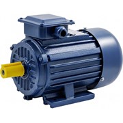 Электродвигатель ТМ БЭЗ АИP 112M4 IM1081