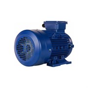 Электродвигатель 5АИ 100 L4 4/1500 IM 1081