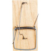 Деревянная мышеловка Домовой Прошка 22994