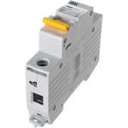 Автоматический выключатель IEK ВА47-29