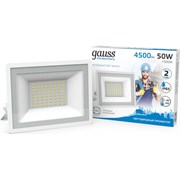 Светодиодный прожектор GAUSS 613120350