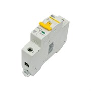 Автоматический выключатель IEK ВА47-60M