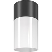 Потолочный светильник MAYTONI Willis