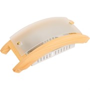 Светильник ЭЛЕТЕХ Полесье НББ 06-40