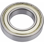 Подшипник EBF 6007 2Z/C3 ()