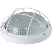Светильник TDM ELECTRIC НПП 03-100-102 (металл, стекло, с решеткой) IP65