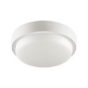 Светодиодный светильник WOLTA LCL04-18W-R01-6K