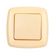 Выключатель скрытой установки ООО Ливны-Электро ВСП 13