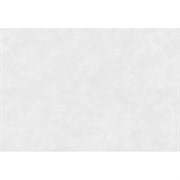 Керамическая плитка КЕРАМИН Ассам 7