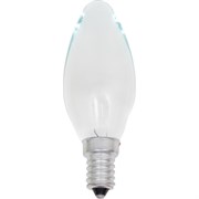 Лампа накаливания Favor 8109018