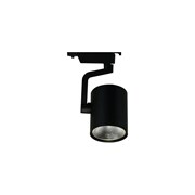 Потолочный светильник Arte Lamp A2321PL-1BK