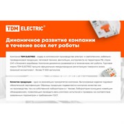 Т-образный горизонтальный ответвитель TDM ELECTRIC SQ2902-2216