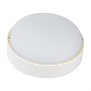 Светильник IEK ДПО 2004