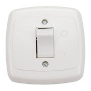 Одноклавишный выключатель ООО Ливны-Электро С1-002 УХЛ 4