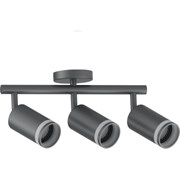 Настенно-потолочный светильник FERON ML233