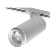 Трековый светильник WOLTA WTL-25W/02W