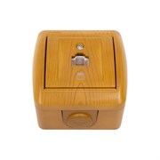 Компьютерная розетка Lezard NATA