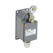 Концевой выключатель IEK ВК-300-БР-11-67У2-21