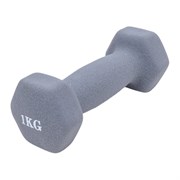 Гантель Победитъ 105305